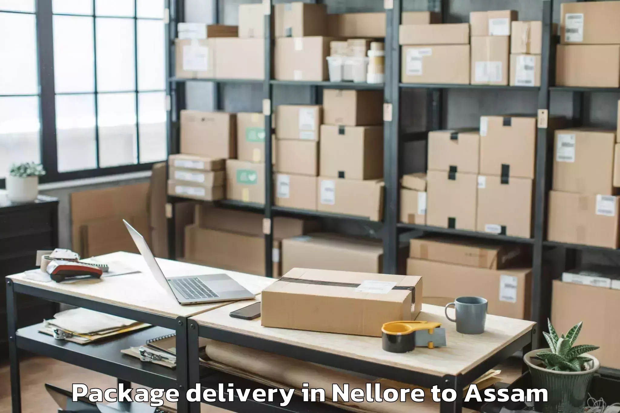 Trusted Nellore to Kalgachia Package Delivery